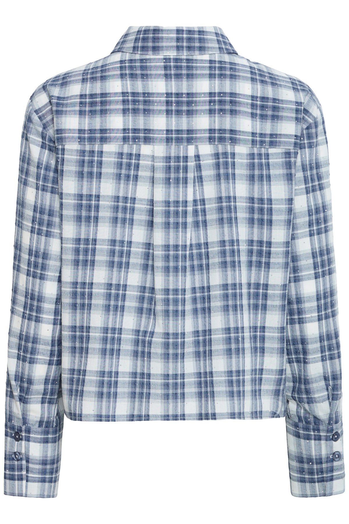 Crina Shirt, Blue Check - back