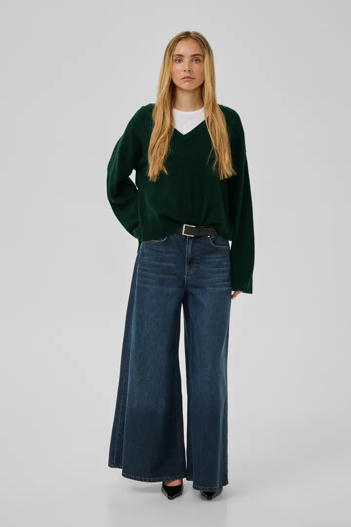 Jola V-Neck Knit Pullover, Douglas Green
