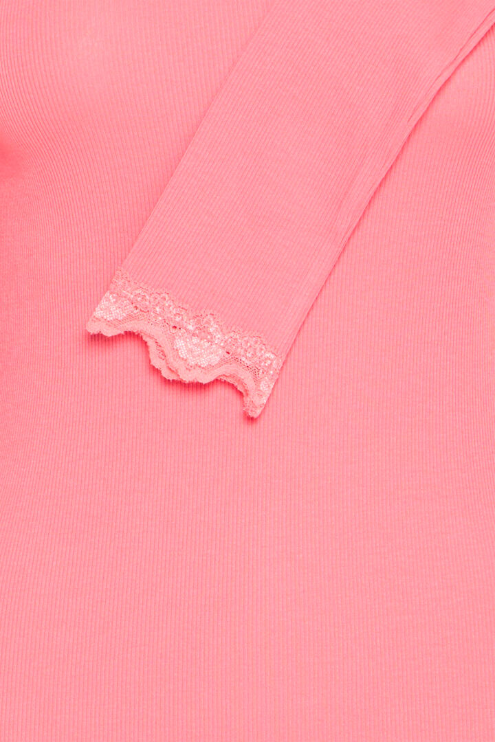 Hizamond Tee, Rapture Rose