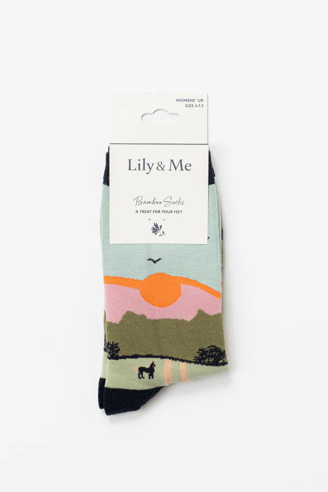 Derek Dog Giftbox - Trainer Socks and Decoration