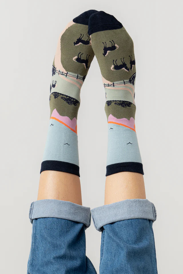 Derek Dog Giftbox - Trainer Socks and Decoration