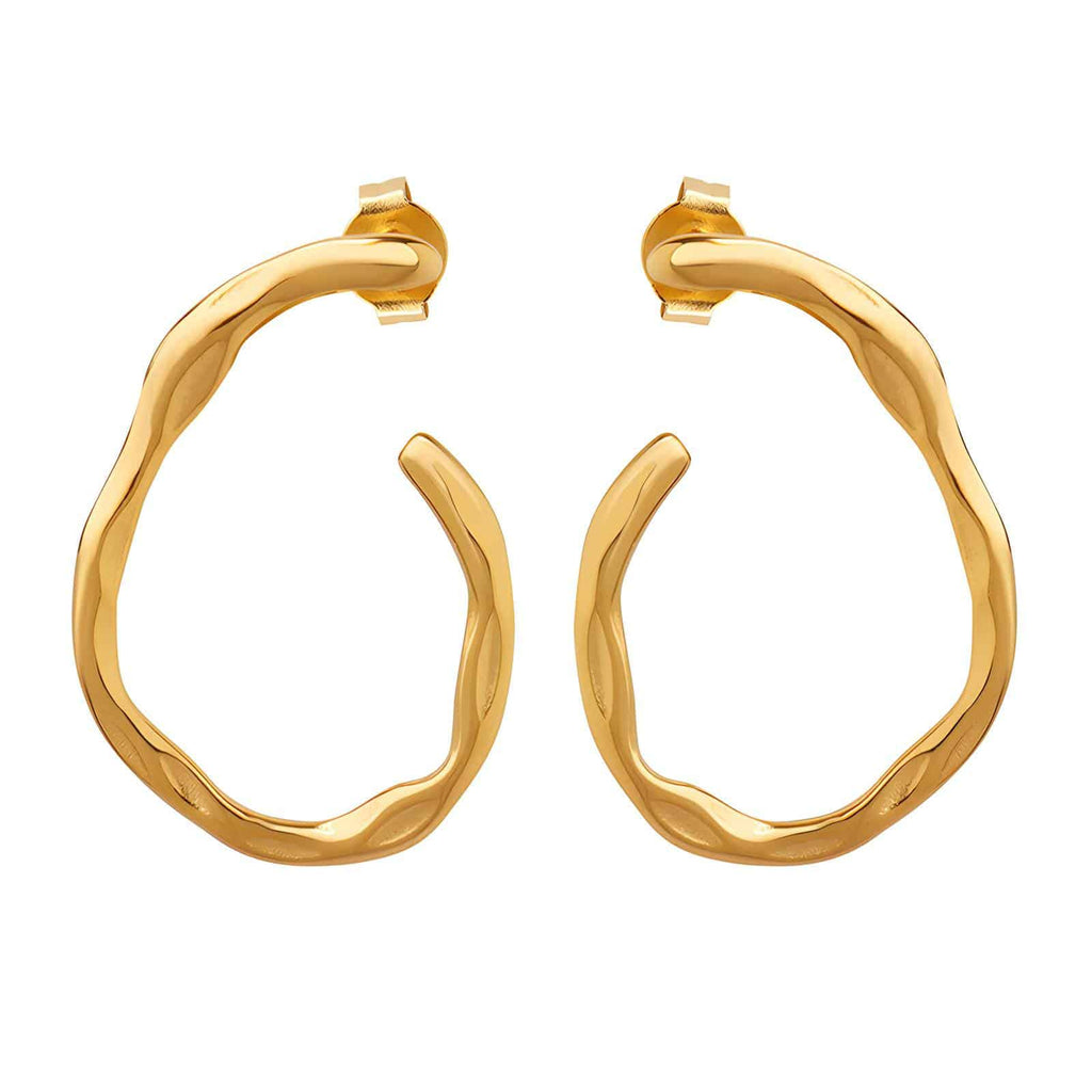 Gold-plated Wrought Earrings image 0
